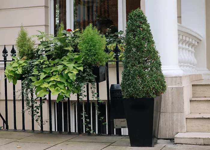 The Premier Notting Hill